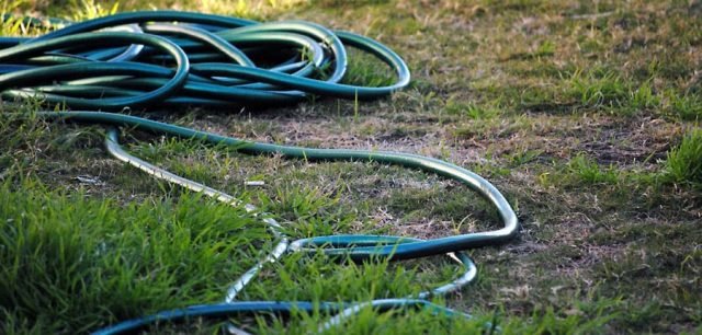 Sabes cómo y cuando se debe regar el césped? - Cortacésped.online ®