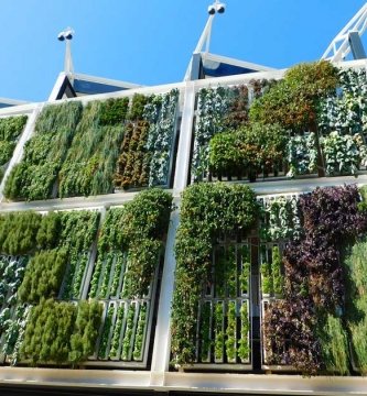 construir muro verde