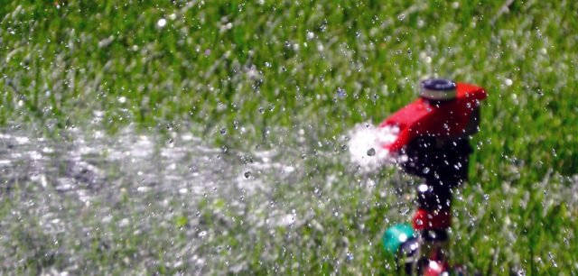 Sabes cómo y cuando se debe regar el césped? - Cortacésped.online ®