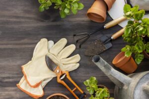 herramientas de jardineria para principiantes