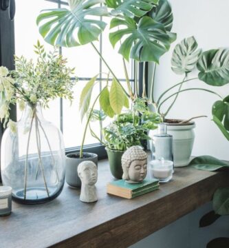 diseño de plantas