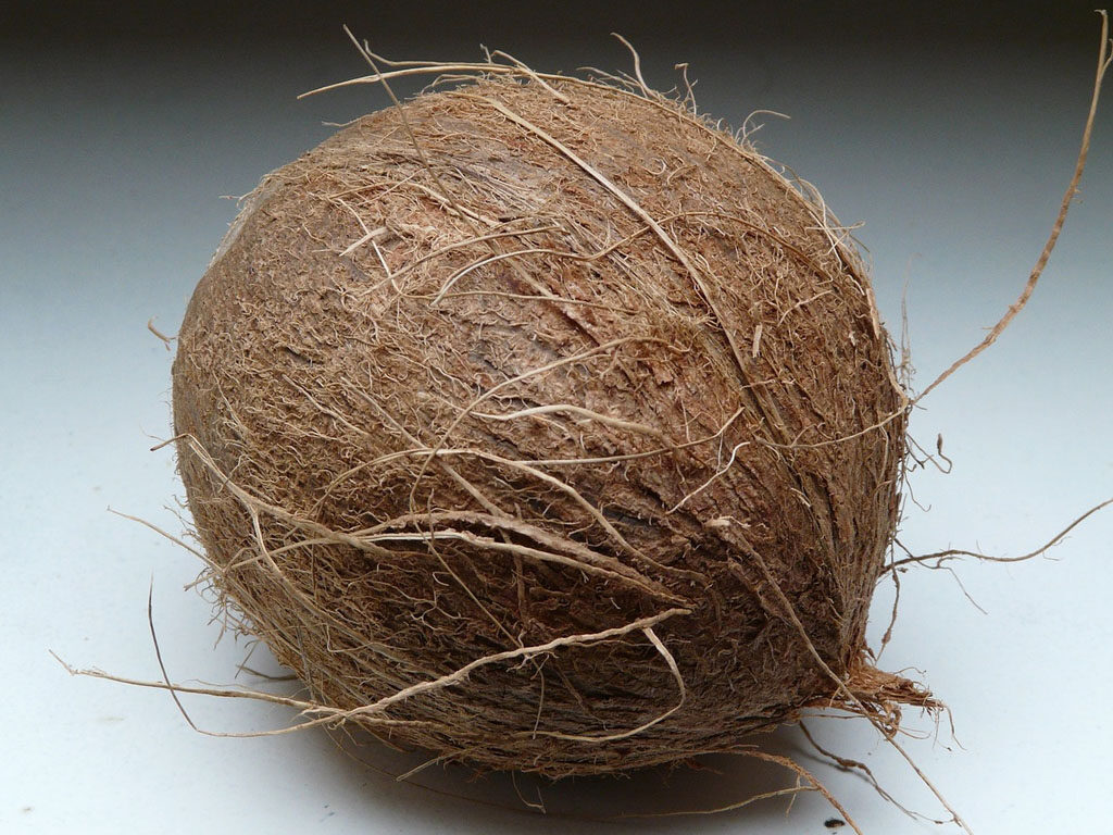 fibra de coco