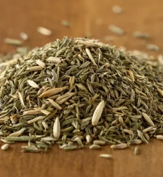 Anise seco (también conocido como Pimpinella) semilla con una mezcla de ingredientes herbales