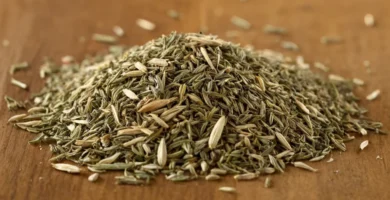 Anise seco (también conocido como Pimpinella) semilla con una mezcla de ingredientes herbales