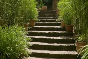 Escalando un conjunto de pasos que conducen a una plataforma elevada con brotes de bambú mirando hacia fuera de planta se para de cualquier lado. El título está en español