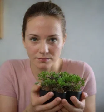 Personas amantes de las plantas que cuidan de su planta única mientras discuten los beneficios de usar la fibra natural para mantenerlos. Las plantas podrían ser una mezcla de variedades suculentas y se exhiben dentro de un marco bellamente decorado en un escritorio de madera.