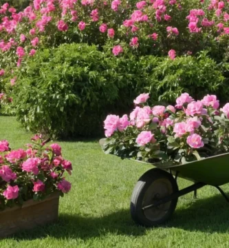 Herramientas y guantes de jardinería que sostienen una pala y carretilla cerca de flores rosadas