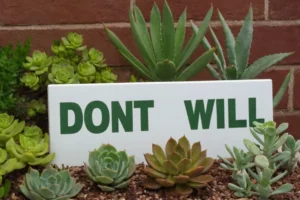 Signos indicativos No Wilt Your Succulents: Cómo identificar el riego excesivo. En letras grandes en la parte inferior: CÓMO. Esto parece ser un signo de una iniciativa de jardín urbano que educa sobre el cuidado de las plantas