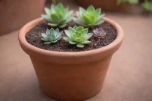 Mujer mostrando sus plantas cómo crecer más rápido proporcionando excelente cuidado con instrucciones detalladas sobre el crecimiento de plantas en el fondo.