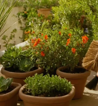 Persona usando una escoba o trampa para eliminar plagas (es decir