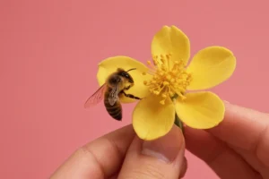 Persona siguiendo una explicación paso a paso en Internet mostrando cómo reproducir una flor de cera usando materiales a mano. (Traducción: Cómo reproducir la flor de abejas de cera: guía práctica y sencilla)