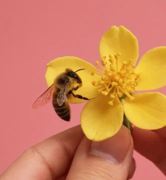 Persona siguiendo una explicación paso a paso en Internet mostrando cómo reproducir una flor de cera usando materiales a mano. (Traducción: Cómo reproducir la flor de abejas de cera: guía práctica y sencilla)