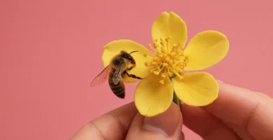 Persona siguiendo una explicación paso a paso en Internet mostrando cómo reproducir una flor de cera usando materiales a mano. (Traducción: Cómo reproducir la flor de abejas de cera: guía práctica y sencilla)