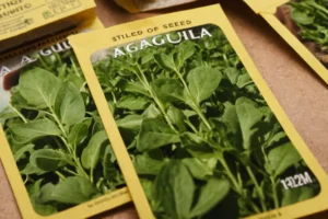 Paquetes de semillas para plantar arugula con instrucciones detalladas paso a paso en un formato ilustrado. (Texto español)