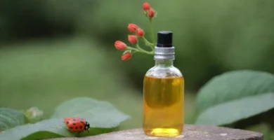 Aficionado al aire libre usando spray de insectos orgánicos sobre sus plantas junto con imágenes de insectos y vida vegetal en escenas naturales.