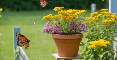 Herramientas para embellecer el jardín