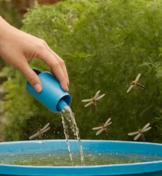 Limpando y recogiendo diferentes tipos de papeles alrededor de una fuente de agua que genera sonido