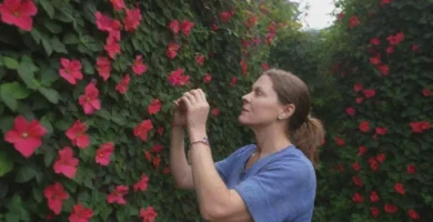 Una selección de robustas plantas de flores entrenadas para soportar el peso