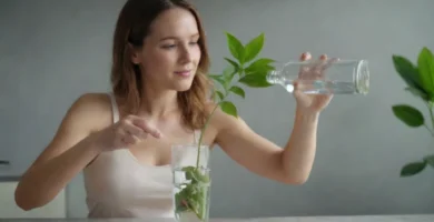 Truco de retención de agua con acuario y planta cuidadosamente colocada. La leyenda lee las plantas de ahorro en tiempos desesperados.