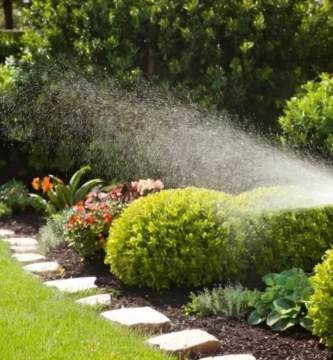 Rociar jabón insecticida y fungicidas en plantas para protegerlos de plagas y enfermedades. Un jardín con varias plantas cercanas está representado.