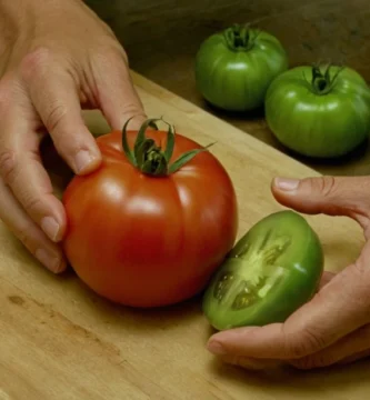 Person slicing abre un tomate para revelar su centro verde