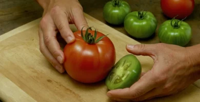 Person slicing abre un tomate para revelar su centro verde