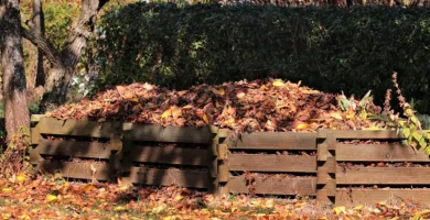 direfencia entre sustrato y abono